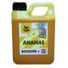 Atraktor wędkarski Booster Ananas GigaBait.pl